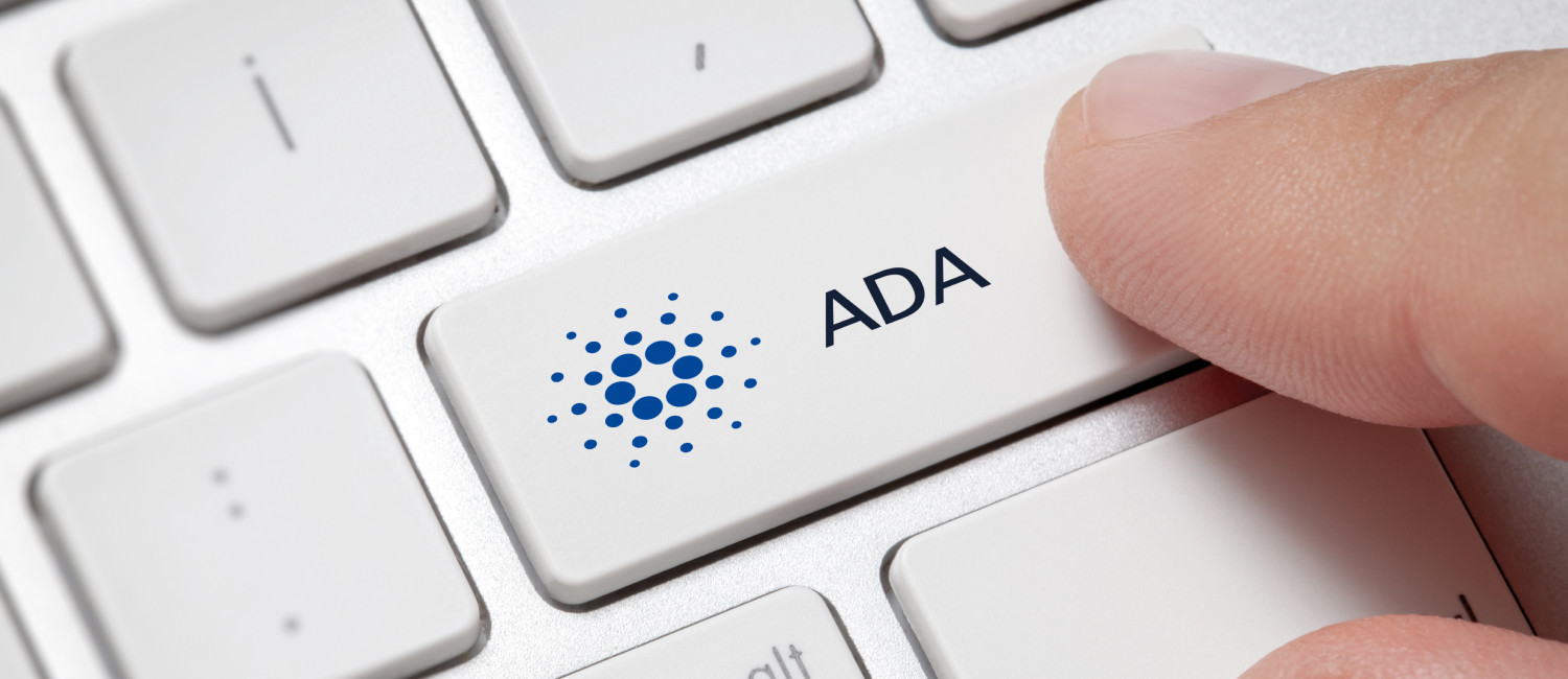 The Emerald Inn On Sunset Cares About Accessibility